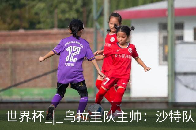 世界杯 | 乌拉圭队主帅：沙特队门将太出色